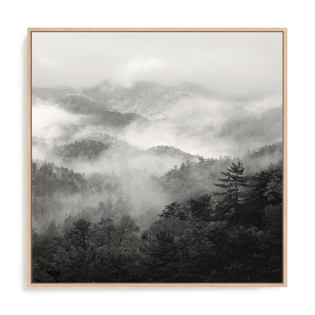 Spring Mist, Smoky Mountains