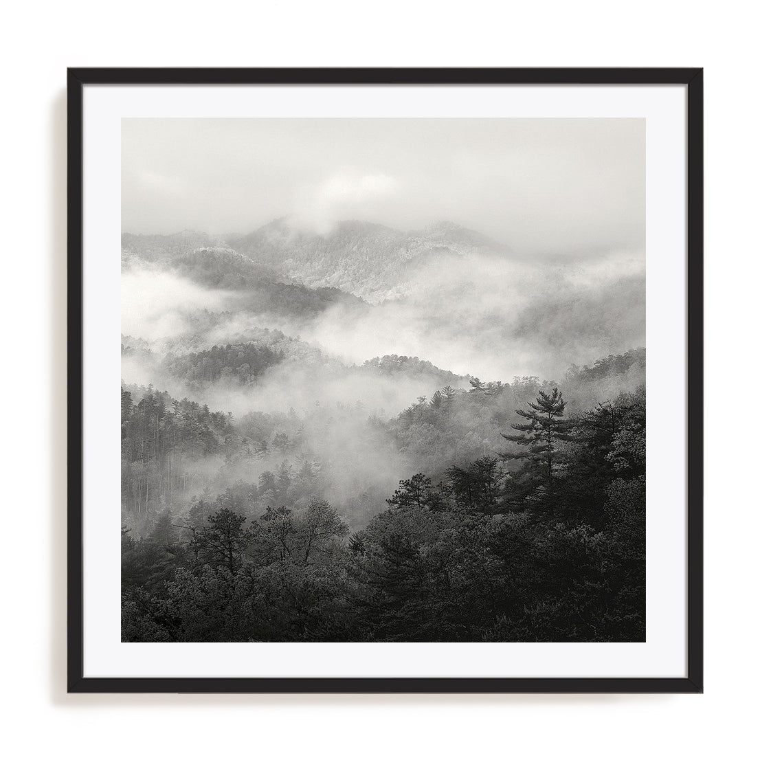Spring Mist, Smoky Mountains
