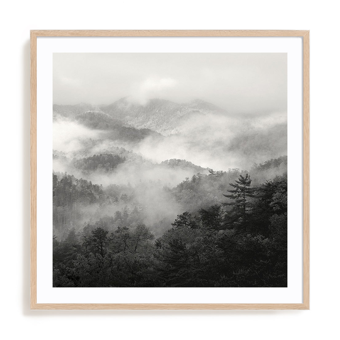 Spring Mist, Smoky Mountains