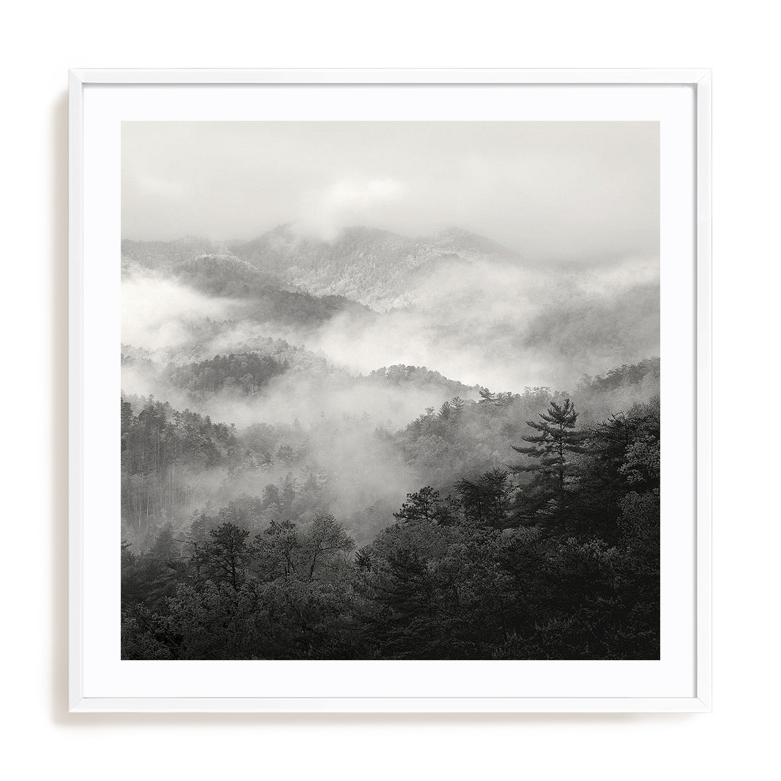 Spring Mist, Smoky Mountains