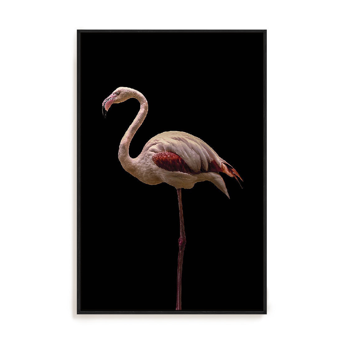 Flamingo Wall Art