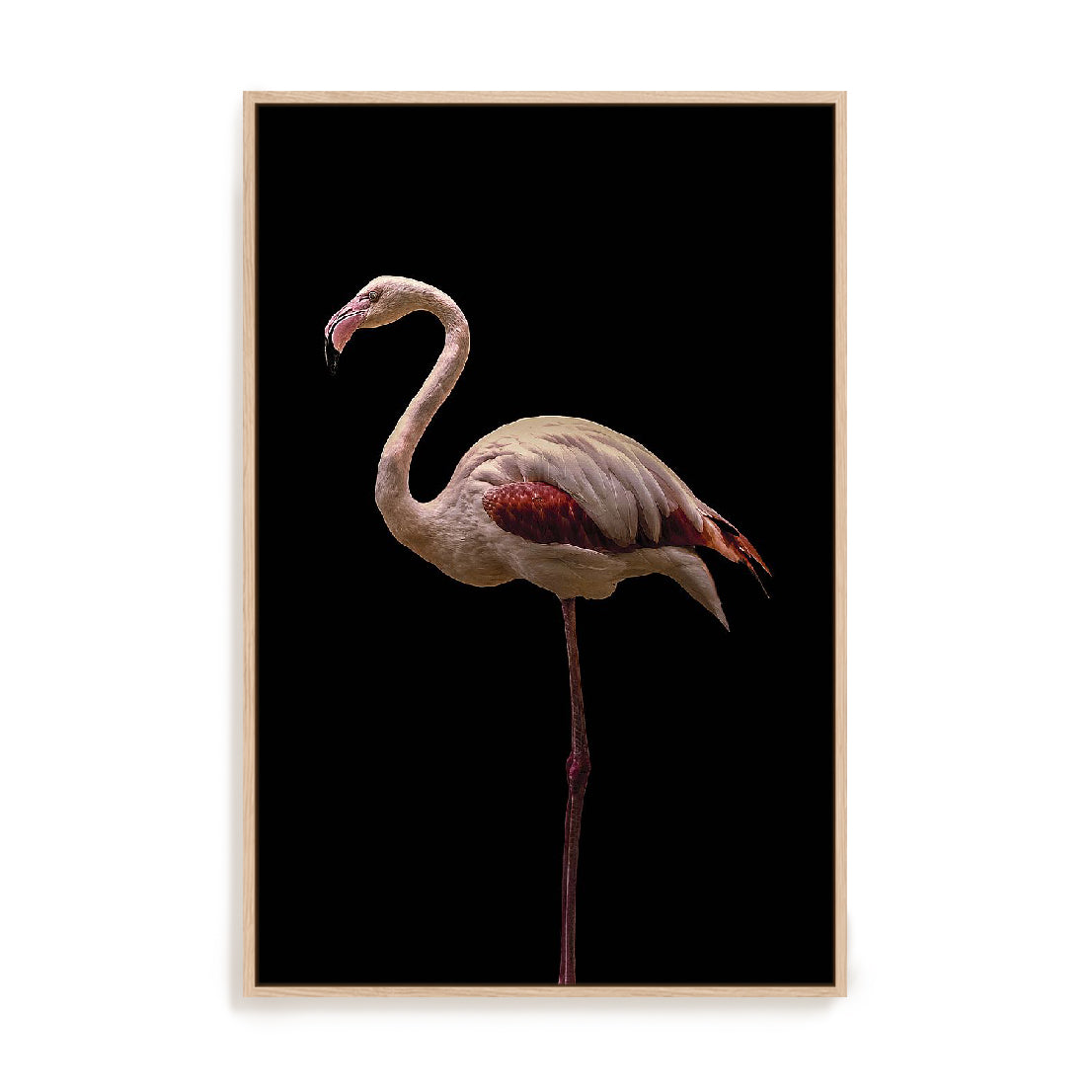 Flamingo Wall Art