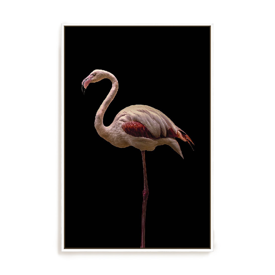 Flamingo Wall Art