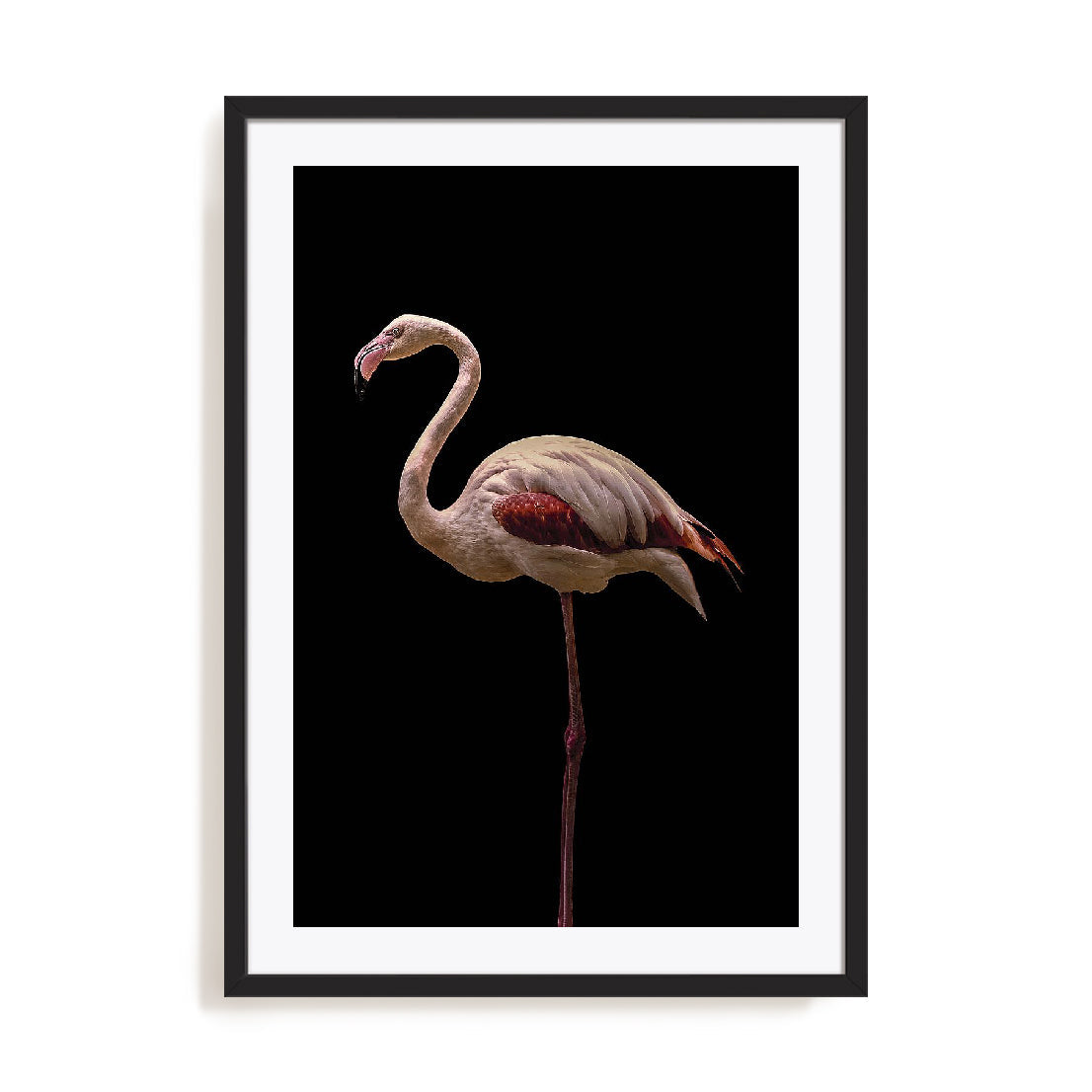 Flamingo Wall Art