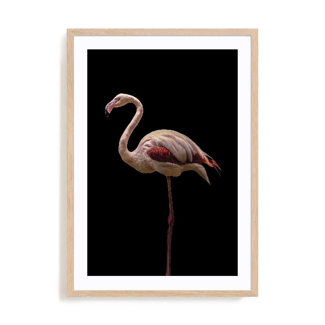 Flamingo Wall Art