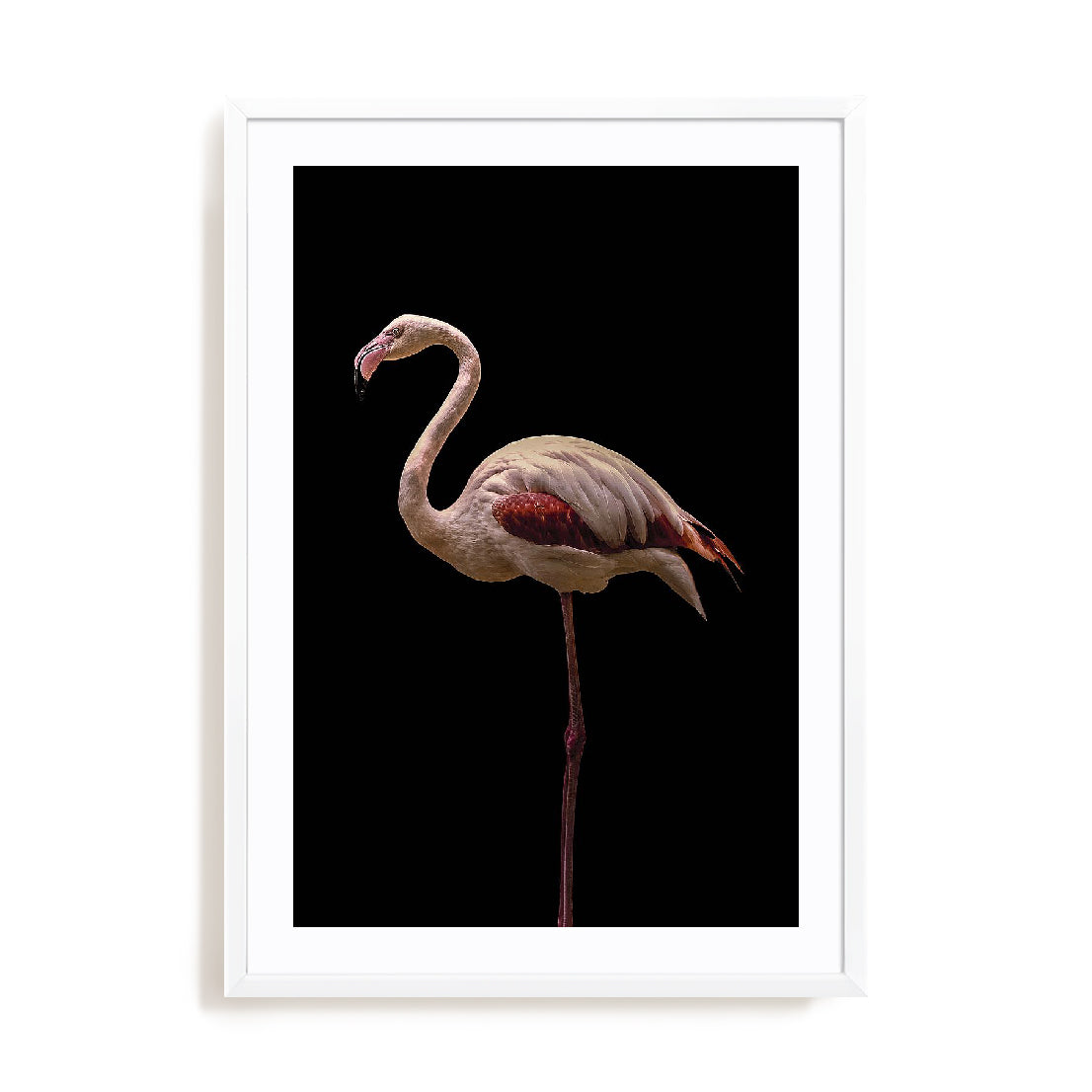 Flamingo Wall Art