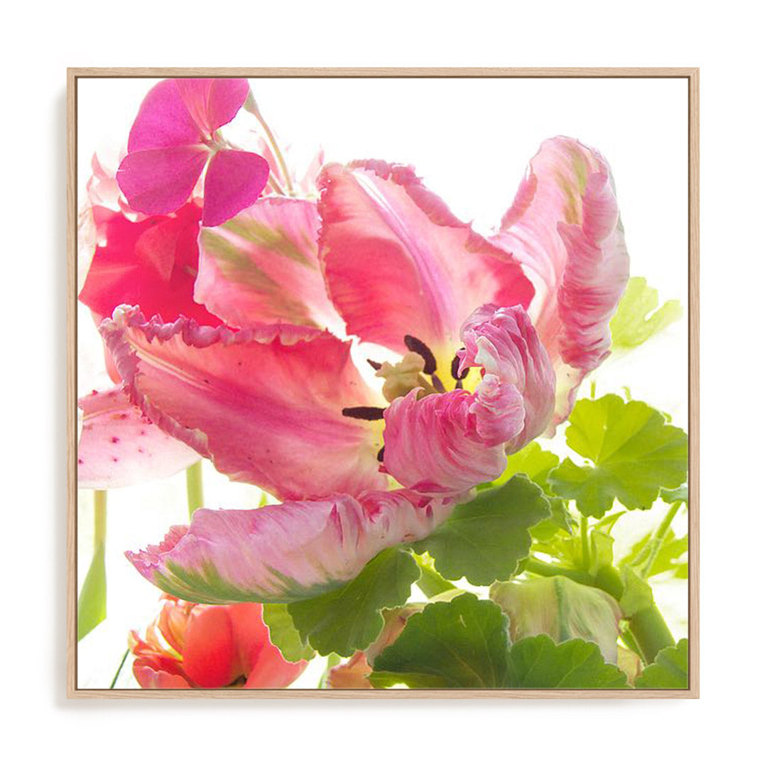 Parrot Tulip One Wall Art