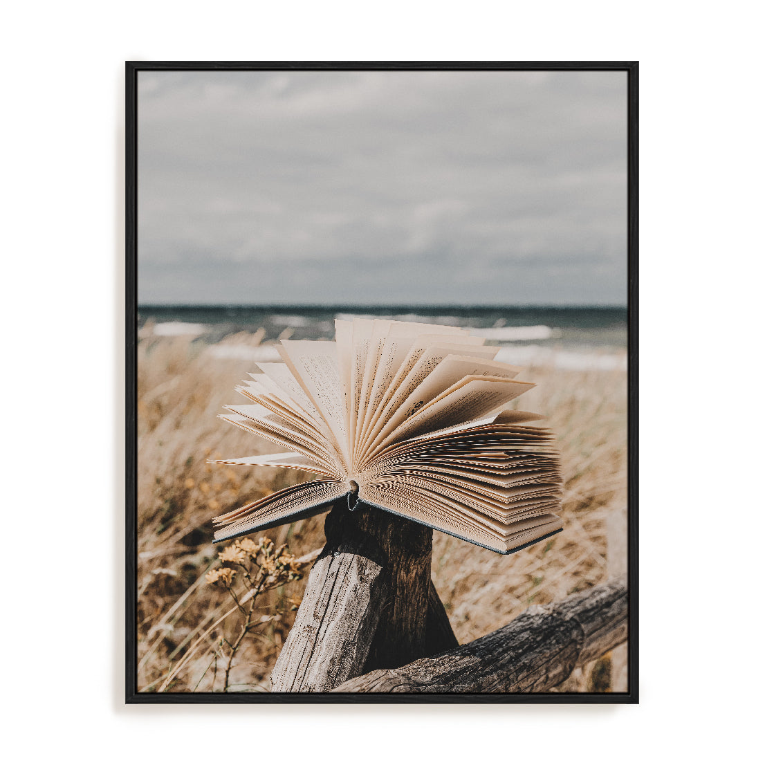 Beach Library Wall Art