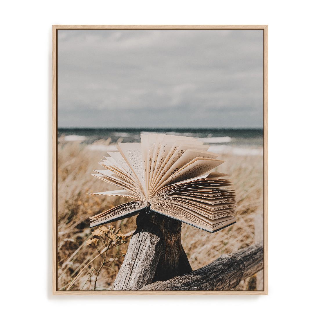 Beach Library Wall Art