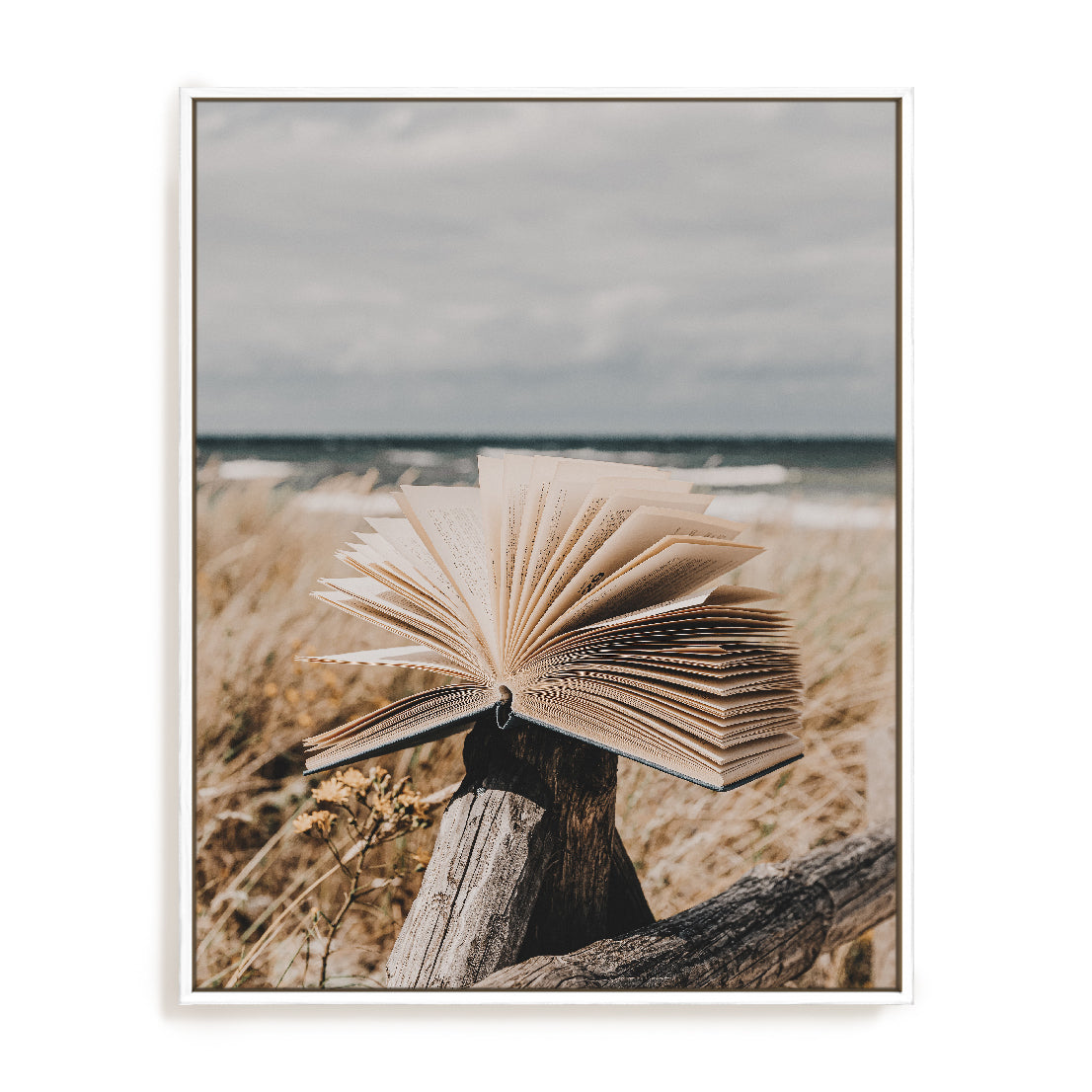 Beach Library Wall Art