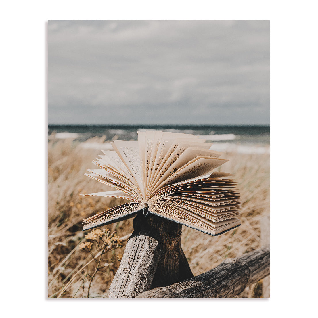 Beach Library Wall Art