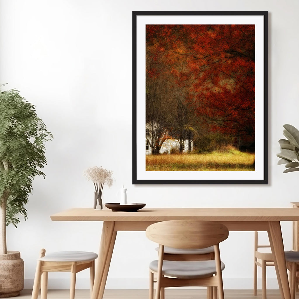 Beyond October's Maple