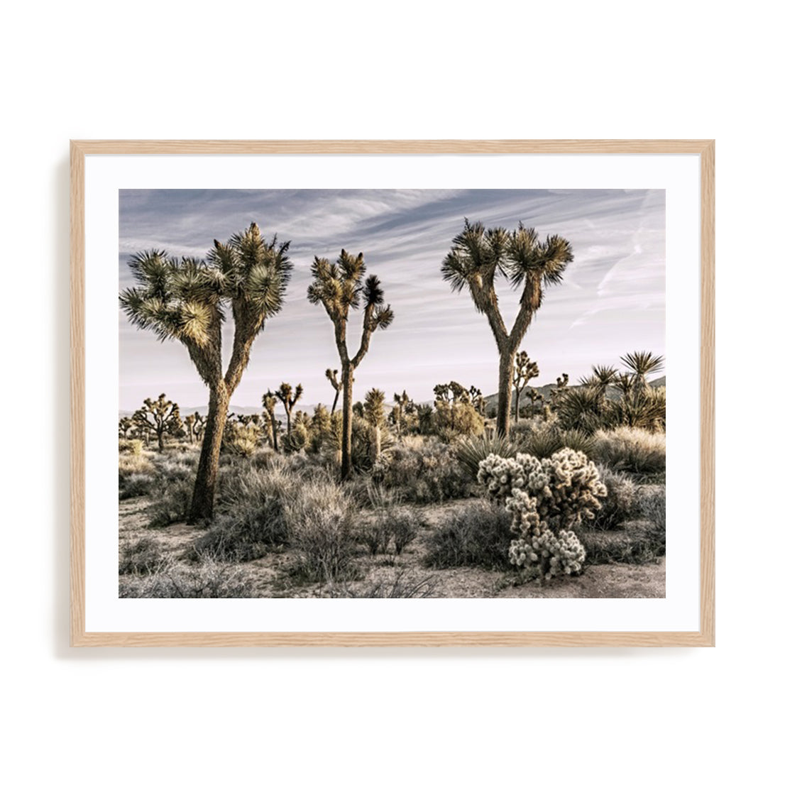 Views of Joshua Tree IX
