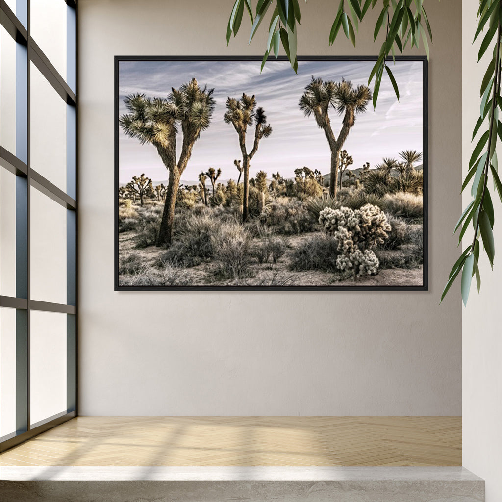 Views of Joshua Tree IX