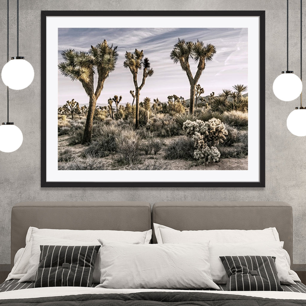 Views of Joshua Tree IX