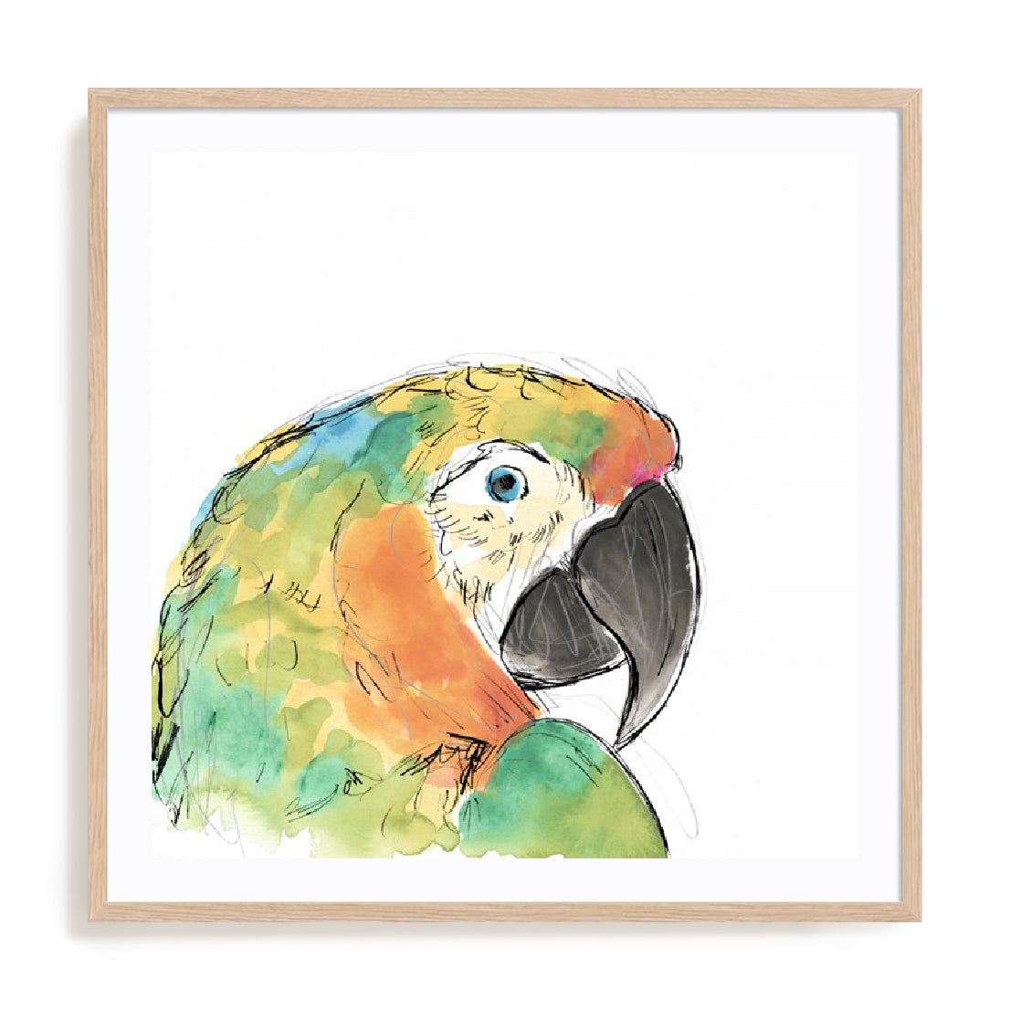 Tropical Bird Portrait IV Wall Art
