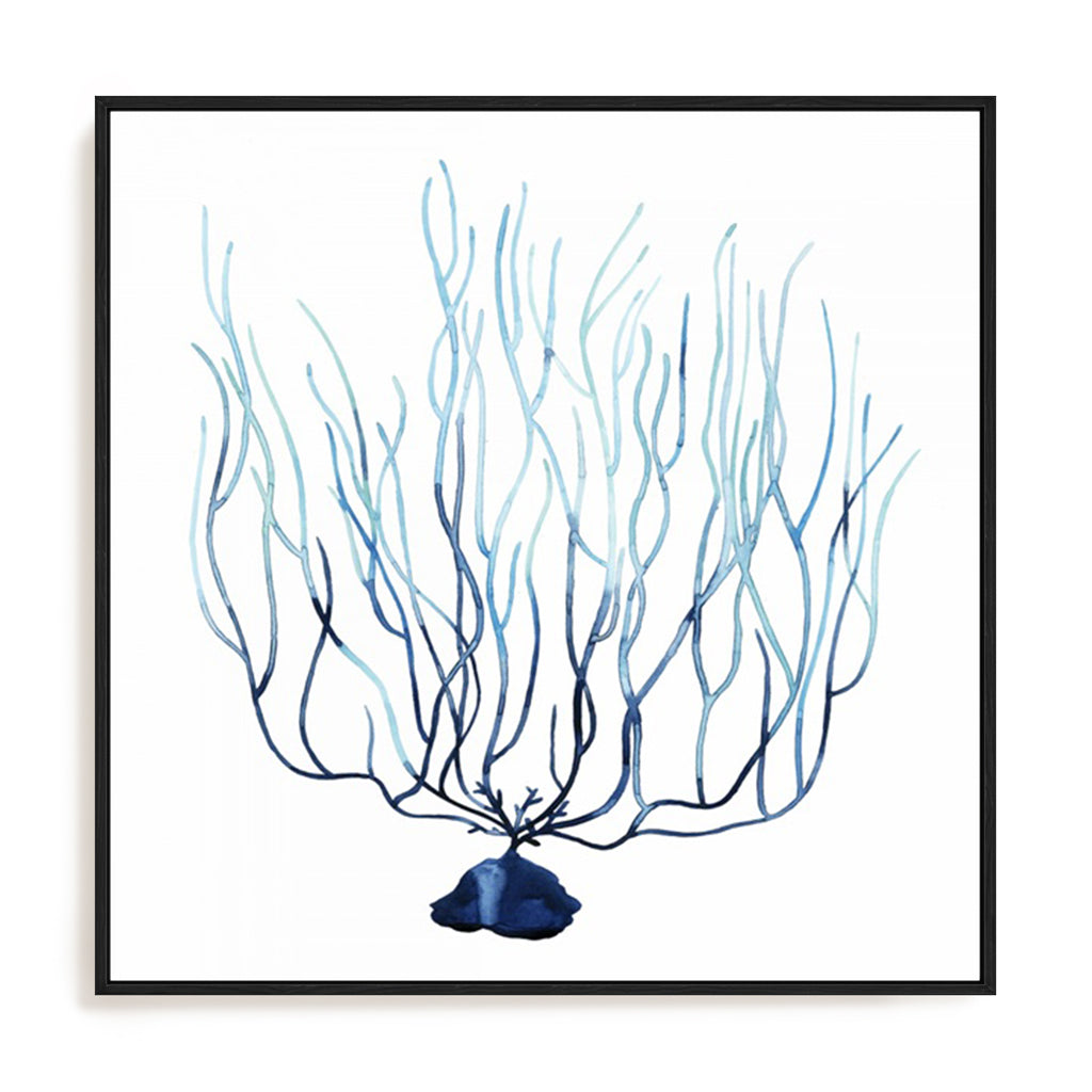Fan de la Mer I