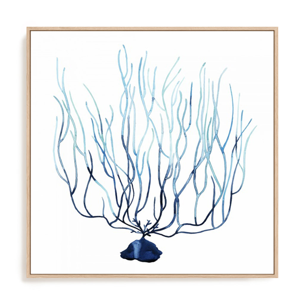 Fan de la Mer I