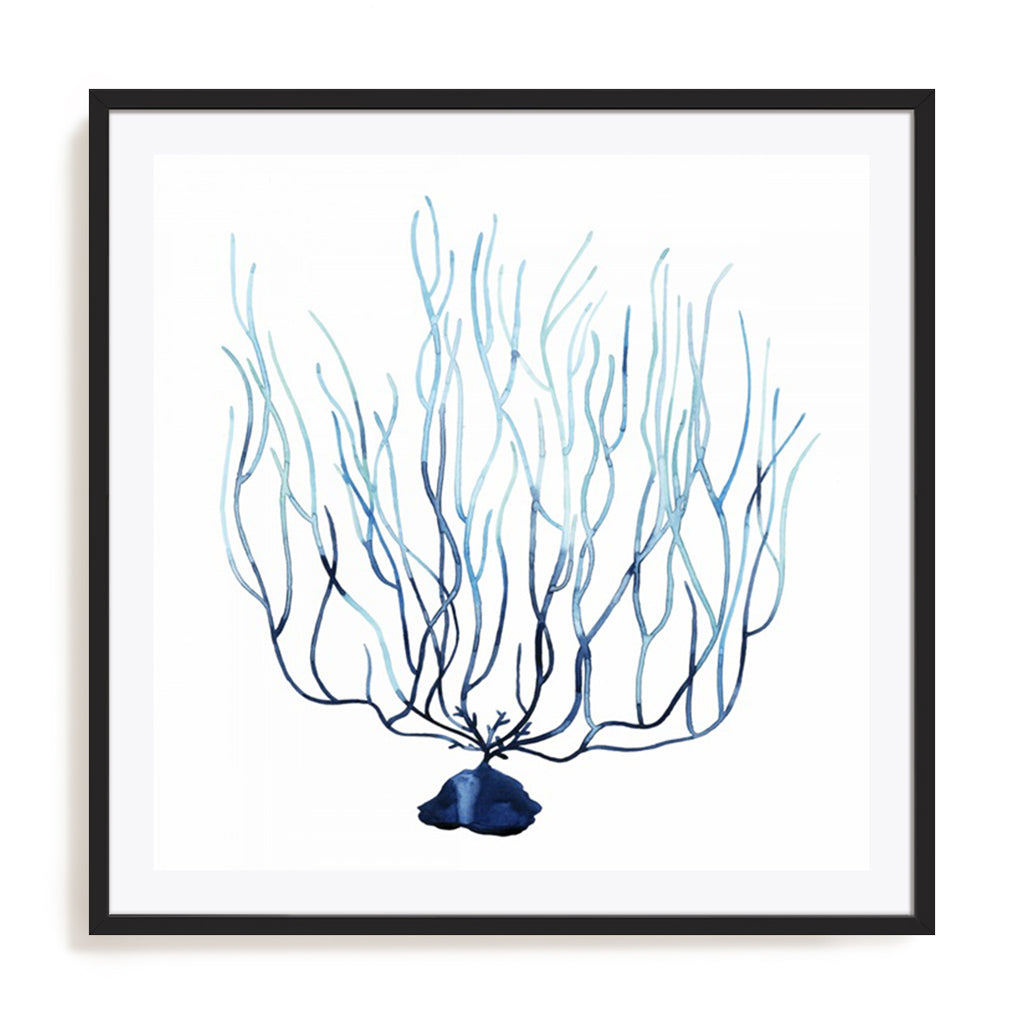 Fan de la Mer I
