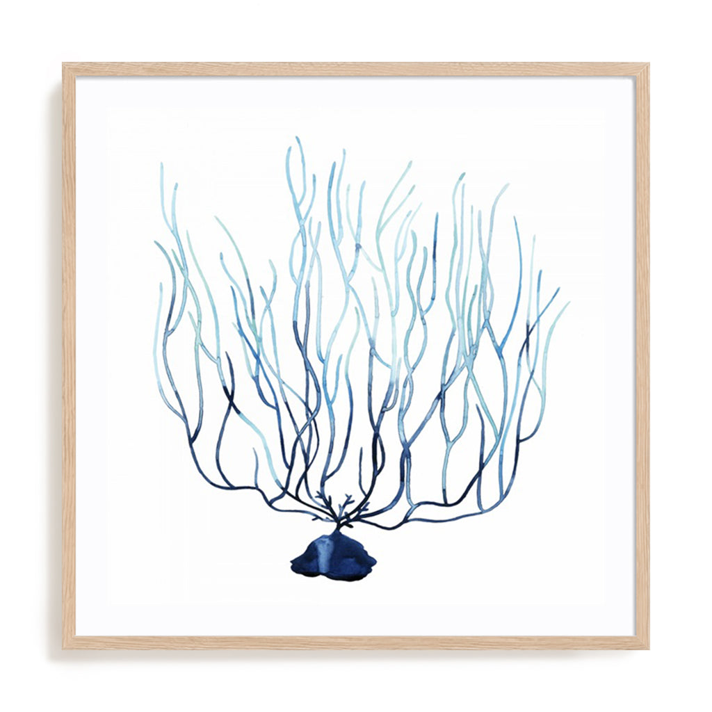 Fan de la Mer I