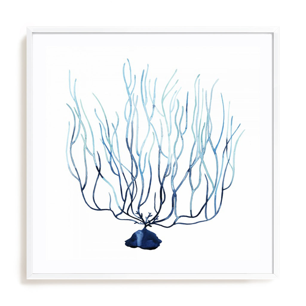 Fan de la Mer I