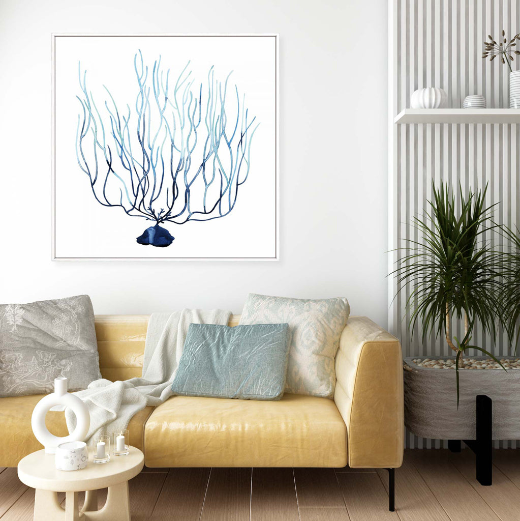 Fan de la Mer I