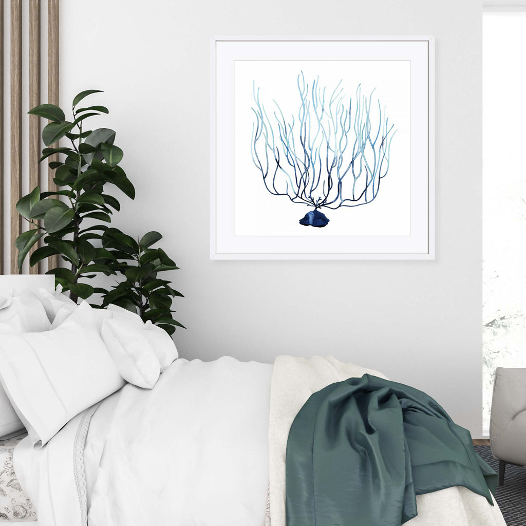 Fan de la Mer I