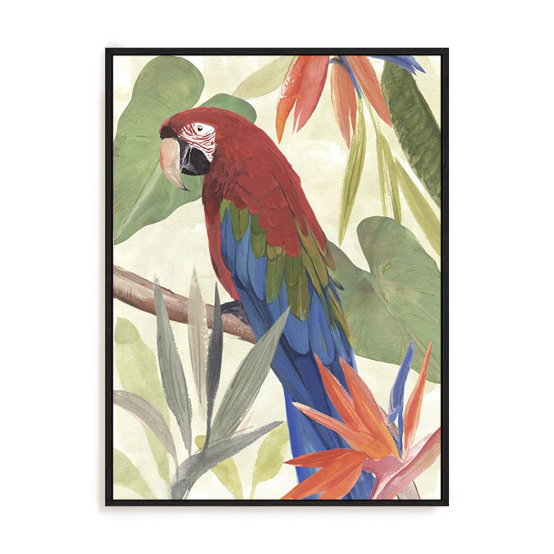 Tropical Parrot Composition III