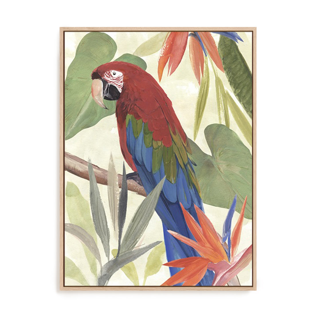 Tropical Parrot Composition III