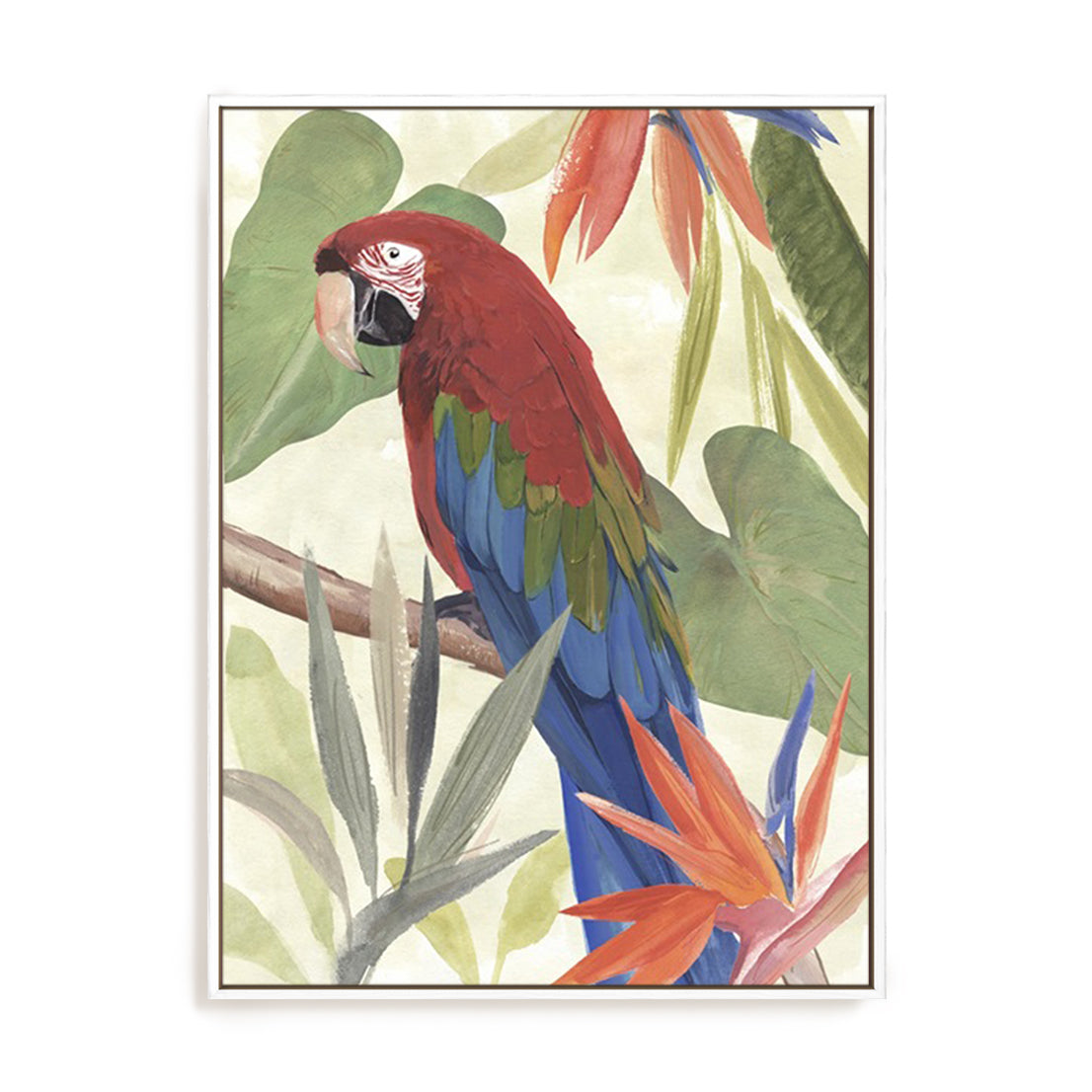 Tropical Parrot Composition III