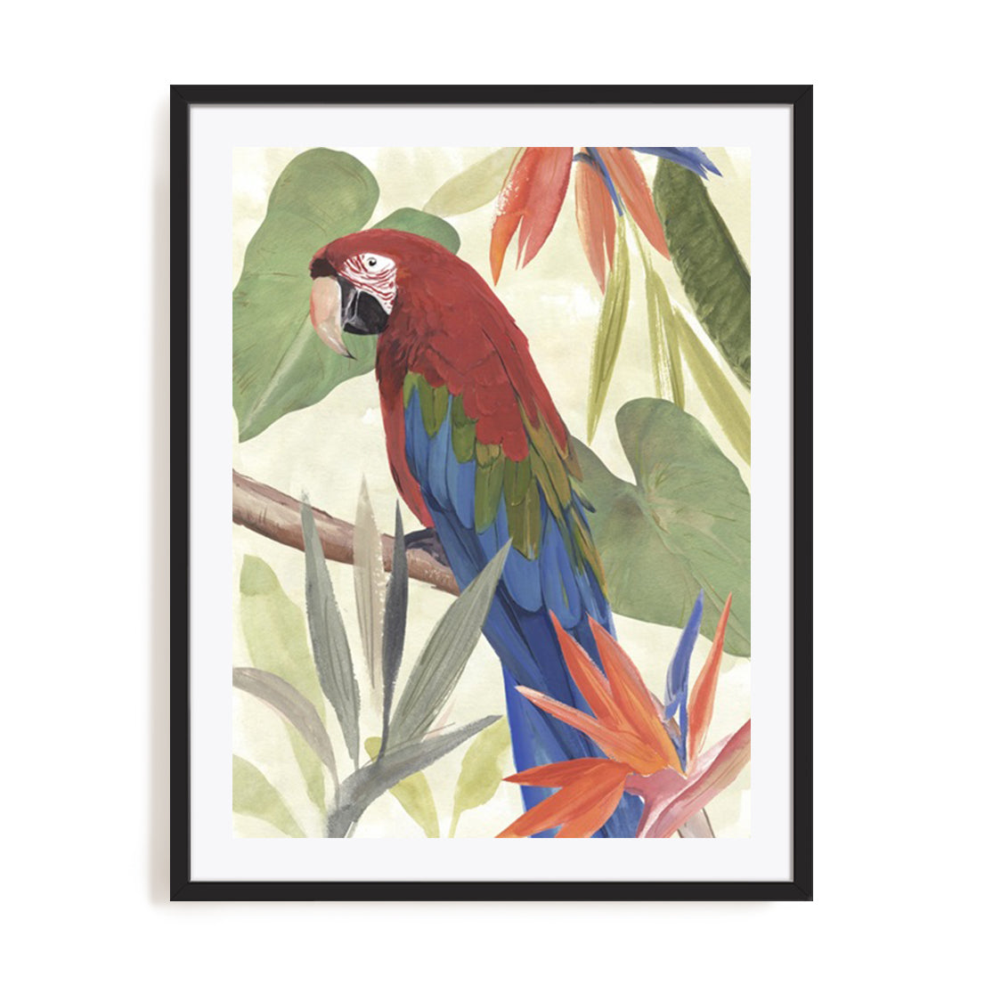 Tropical Parrot Composition III
