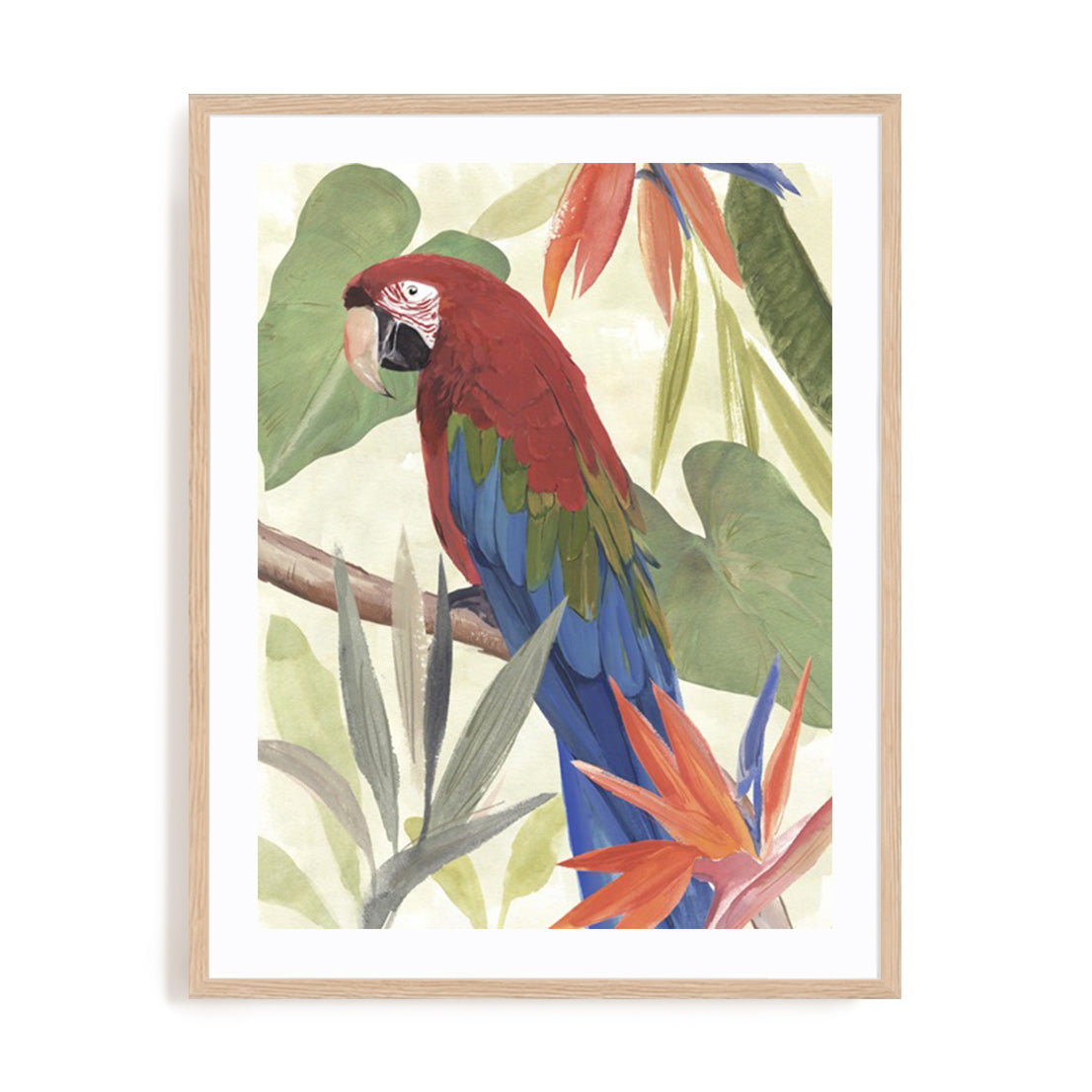 Tropical Parrot Composition III