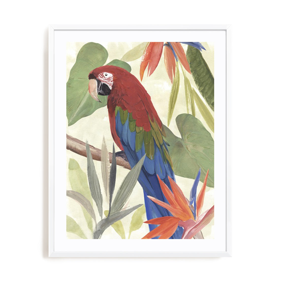 Tropical Parrot Composition III