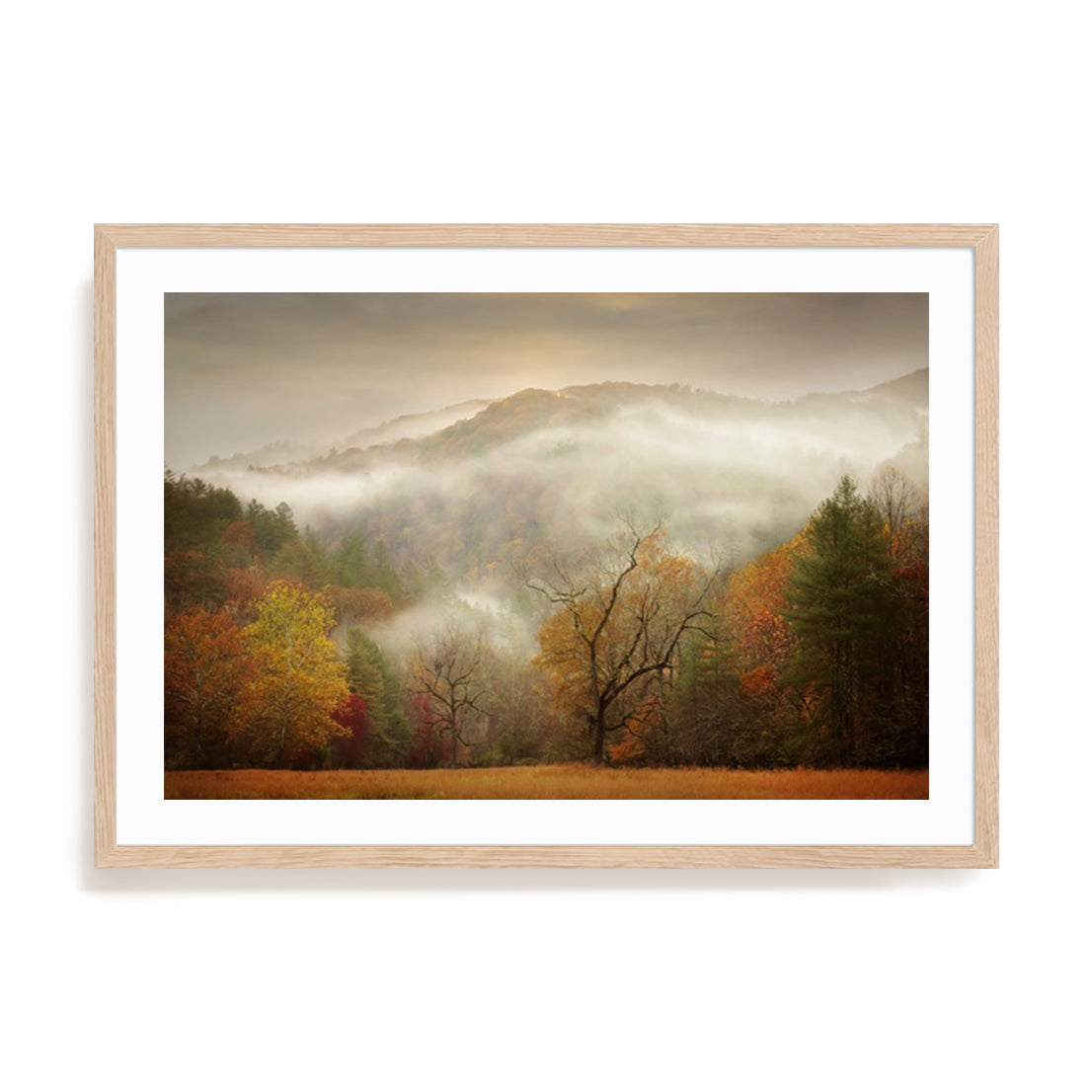Photography Study Autumn Mist
