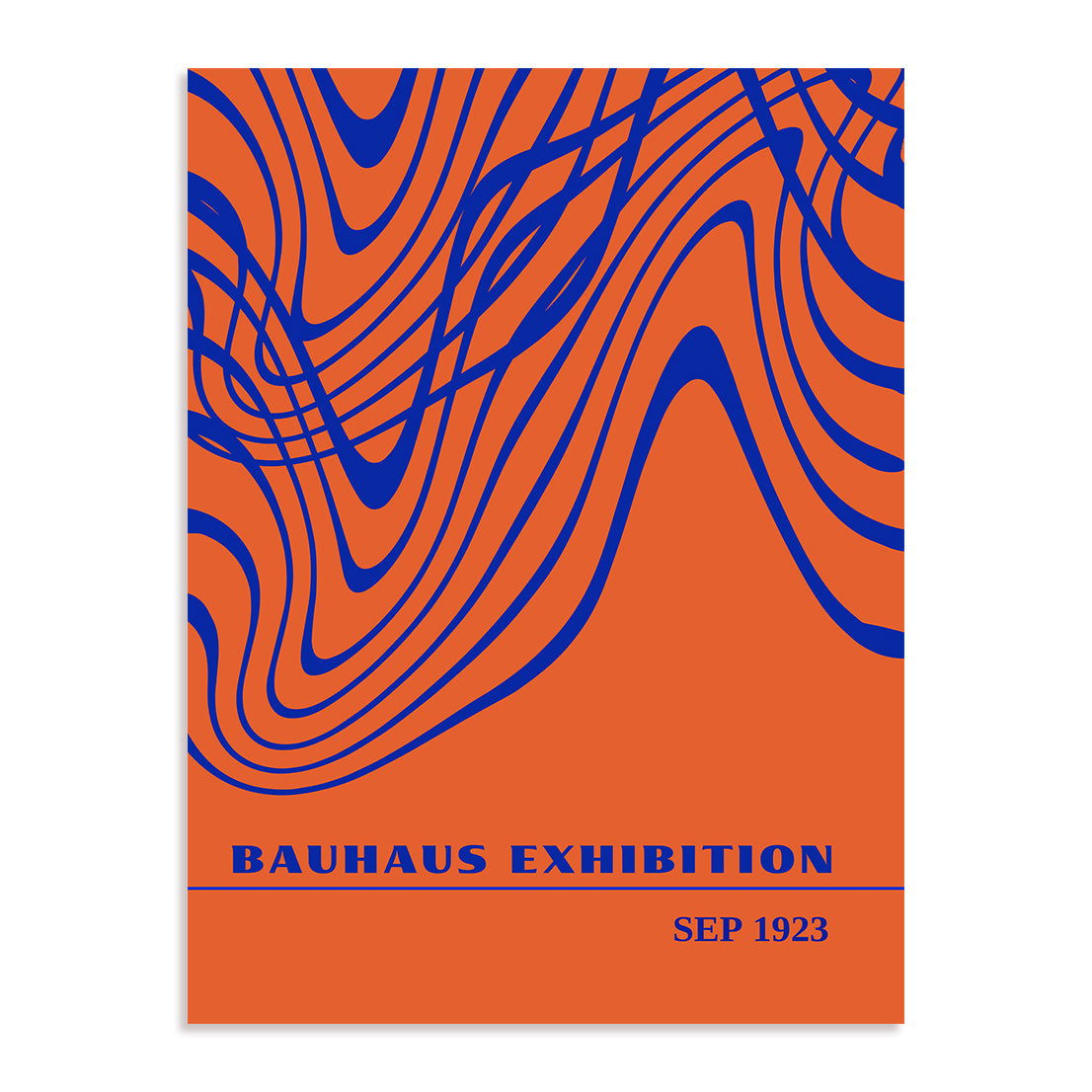 Bauhaus Dynamic Flowline Wall Art