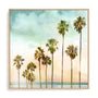 Beach palm I Wall Art