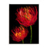Red Tulips II Wall Art