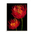 Red Tulips II Wall Art