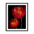Red Tulips II Wall Art