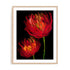 Red Tulips II Wall Art