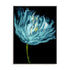 Aqua Tulips I Wall Art