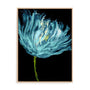Aqua Tulips I Wall Art