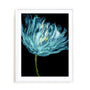 Aqua Tulips I Wall Art