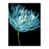 Aqua Tulips I Wall Art