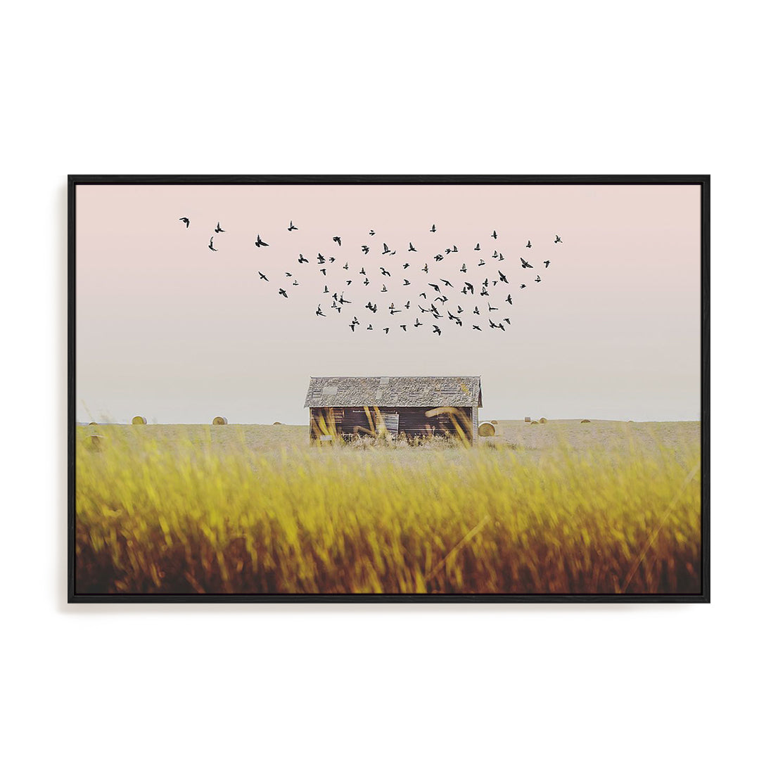 Harvest Barn