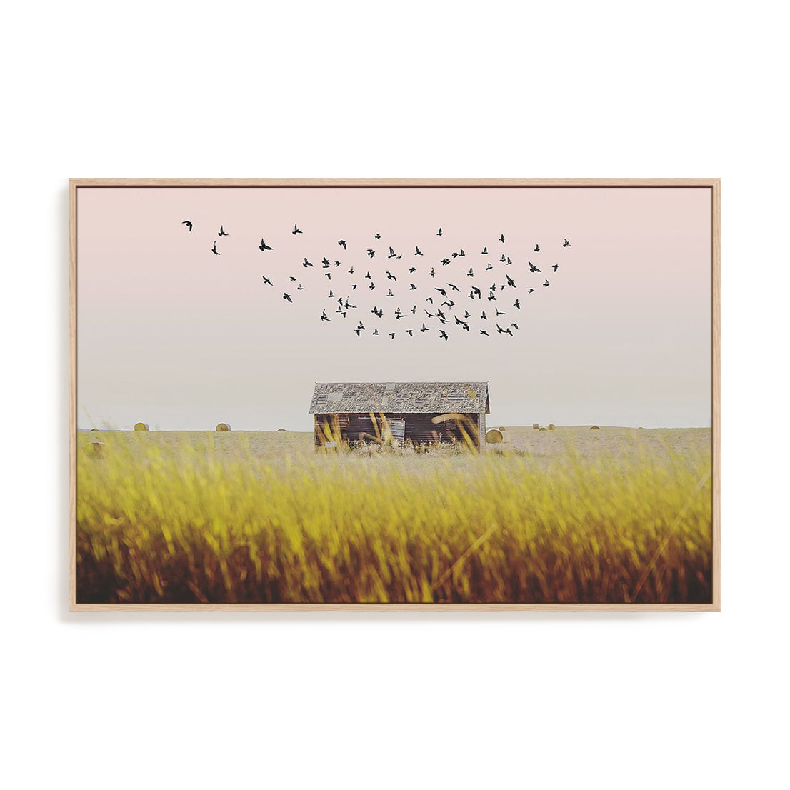 Harvest Barn
