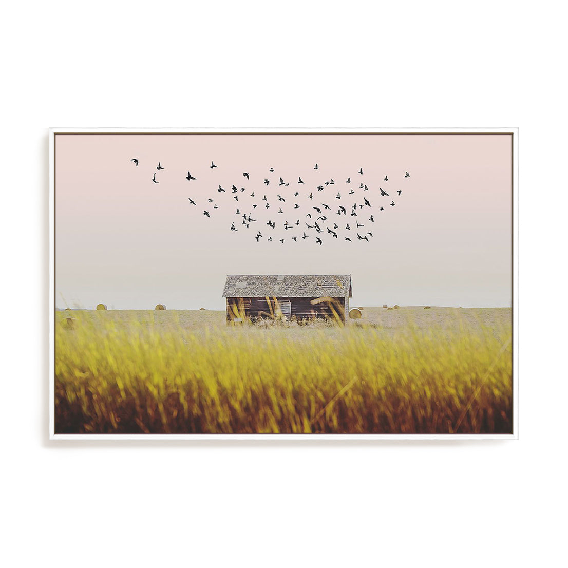 Harvest Barn