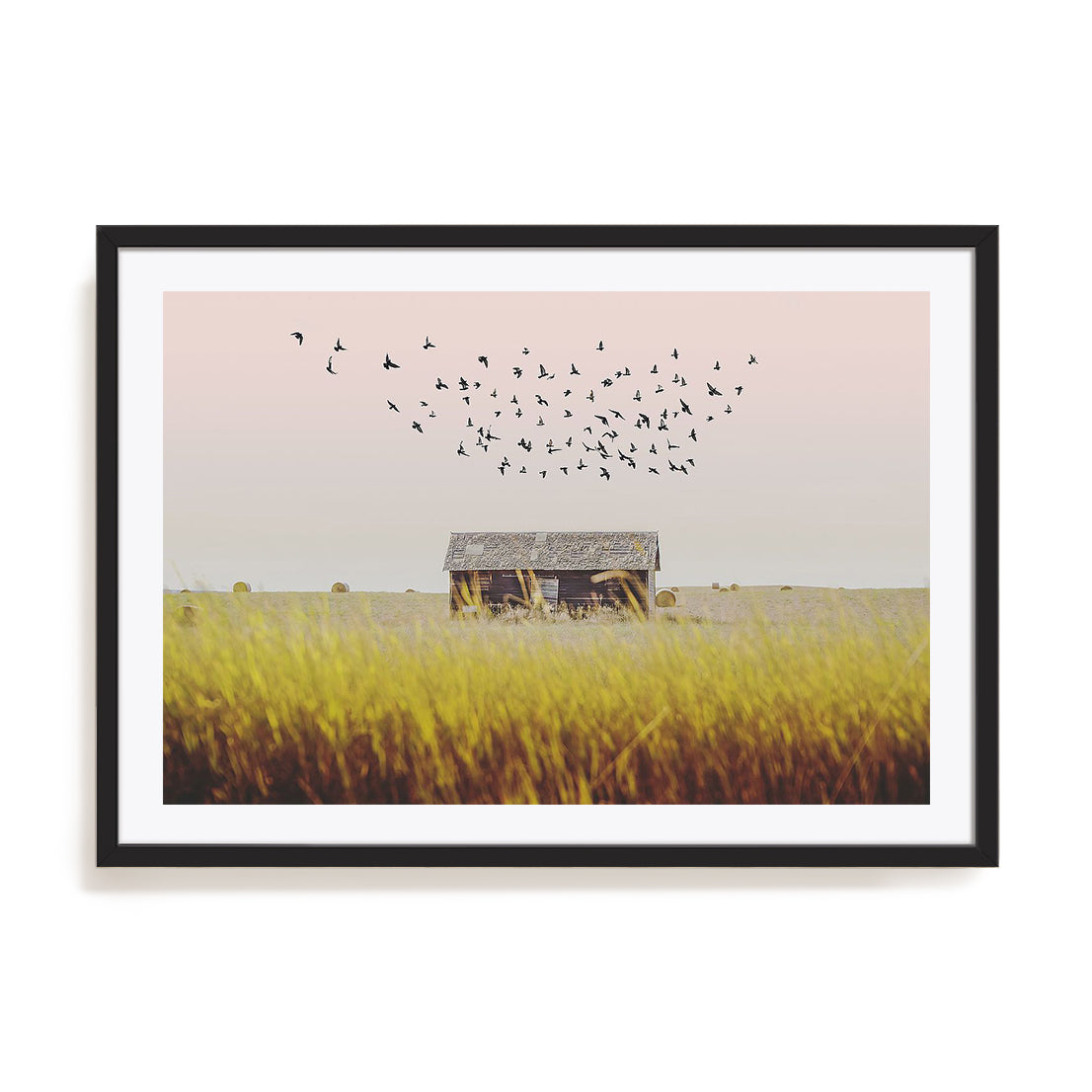 Harvest Barn