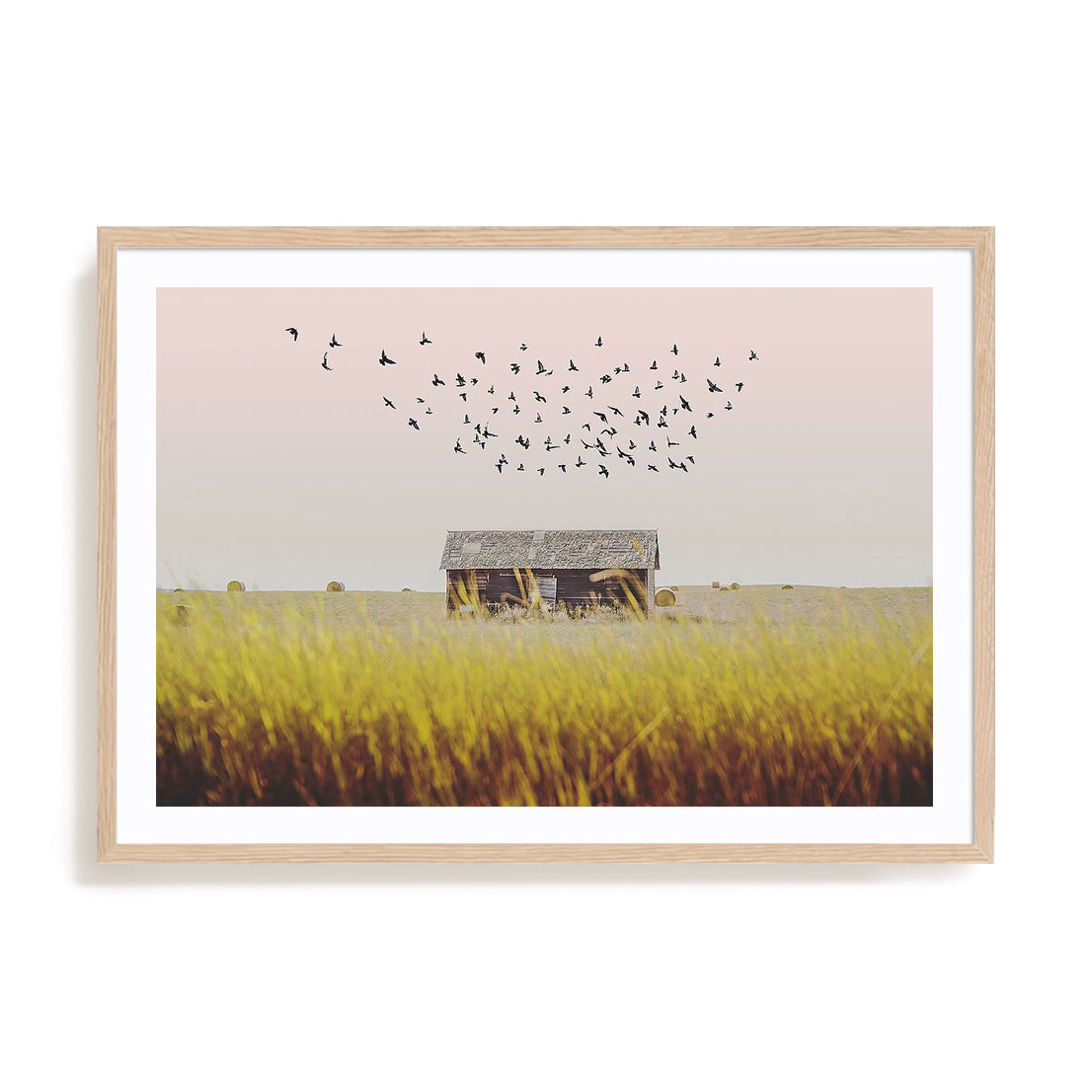 Harvest Barn