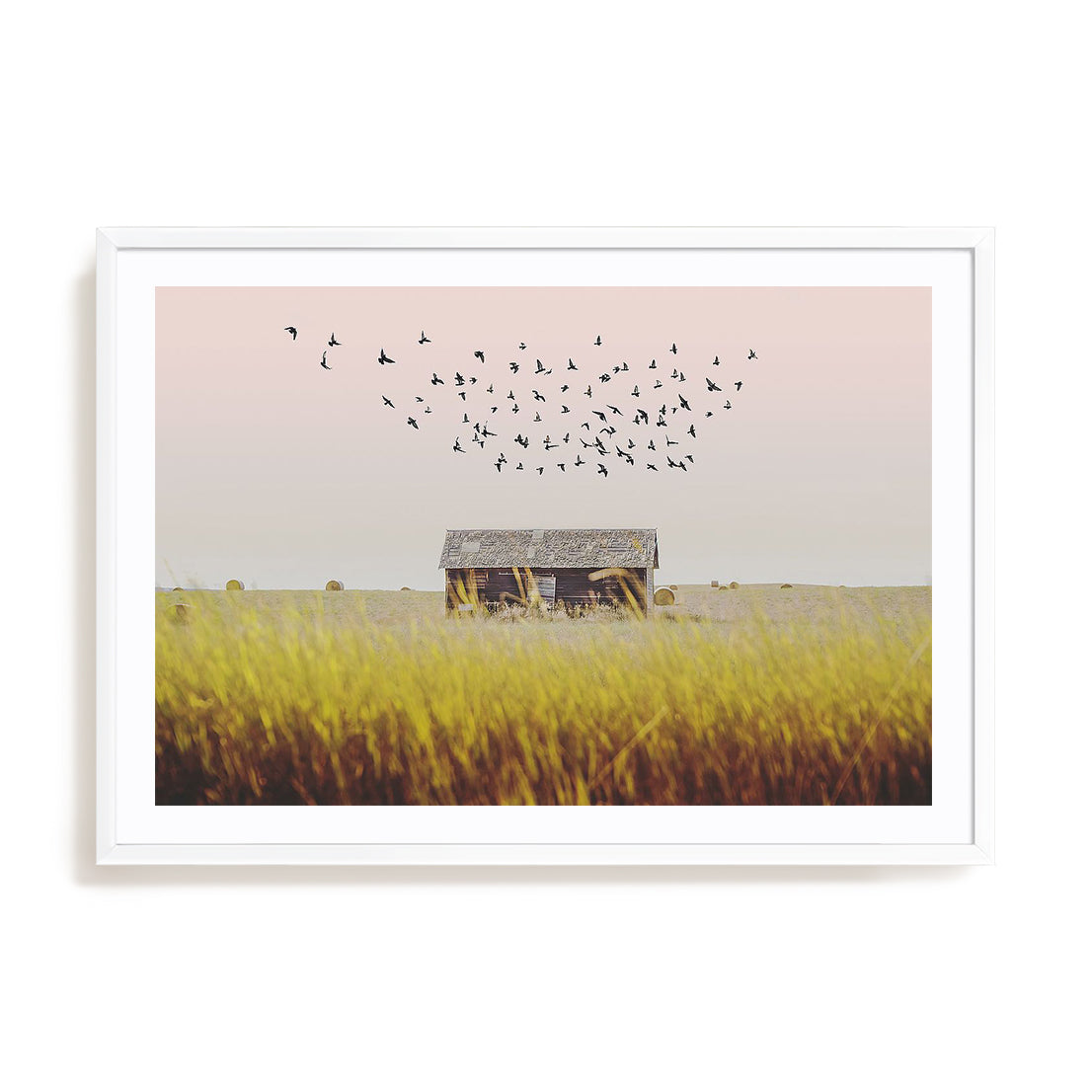Harvest Barn